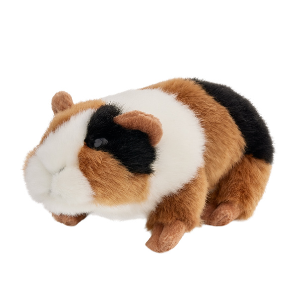  Świnka morska 18cm