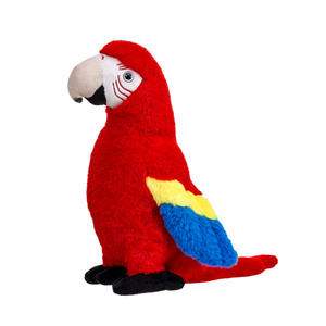 Papuga Ara czerwona