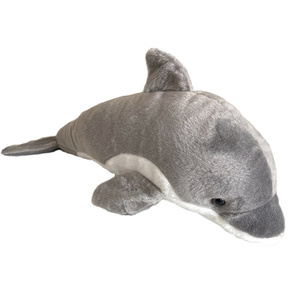 Delfin szary