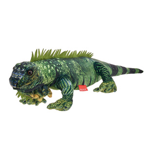 Iguana