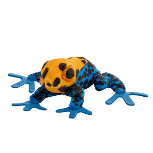 Żaba liściołaz żółty 10 cm